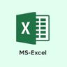 MS Excel