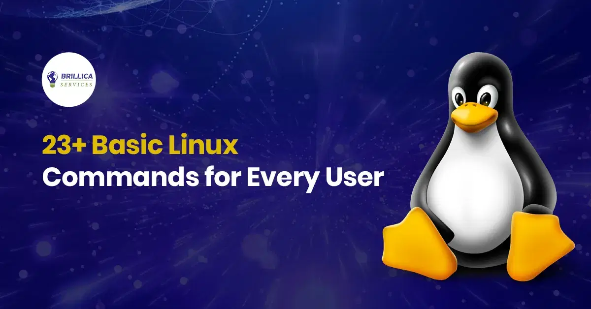 bacis-linux-commands-for-every-user