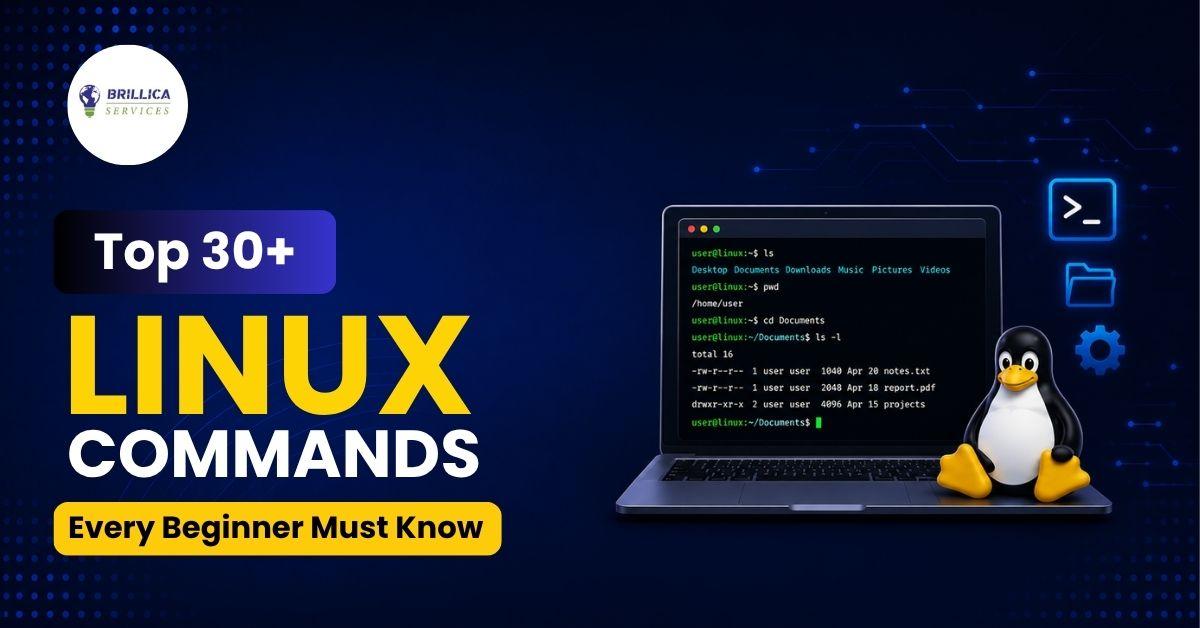 top-linux-commands-every-beginner-must-know